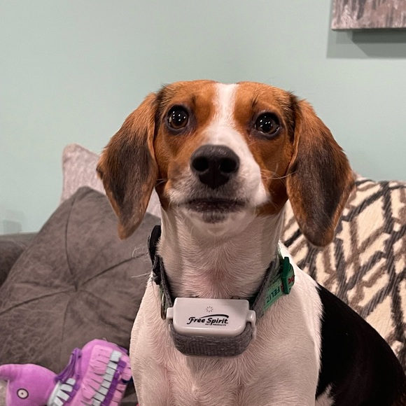 Meet your Posher, Rebecca - Picture 4 of 7